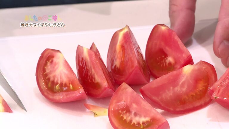 あしたのまるごはん 焼きナスの冷やしうどん