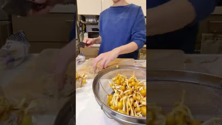 風邪かな？と思ったら、とりあえずこれ飲んどけば回復するかも？！とっても美味しい「免疫力UPとろとろスープ」をご紹介！