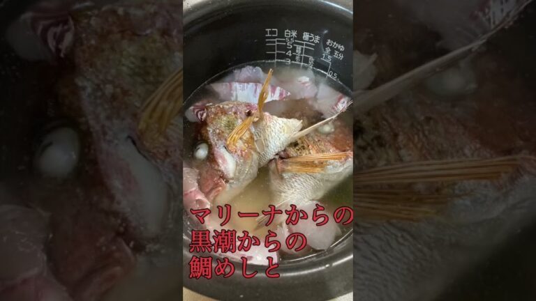 和歌山ぶらりグルメ旅(*´ω`*)