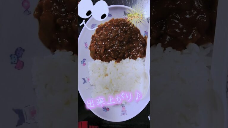 超簡単！子供たちが【ひき肉カレー】を作ってくれました♪