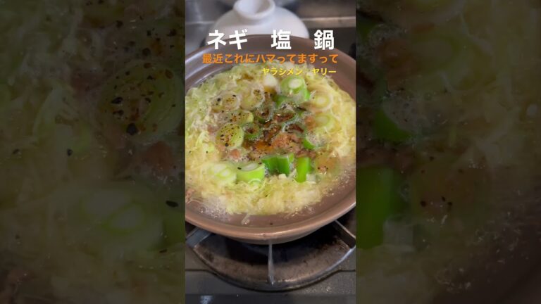 美味いっネギ塩キャベツ鍋こればっかやらさせてもらってますっ🍲　#ネギ塩　#ネギ　#豚肉　#鍋　#ディナー   #グルメ　#美味しい　#オススメ　#ヤラシメン　#ヤリー　#スノーピーク　#shorts