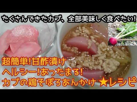 大量にできたカブ「もものすけ」を美味しく食べるレシピ①