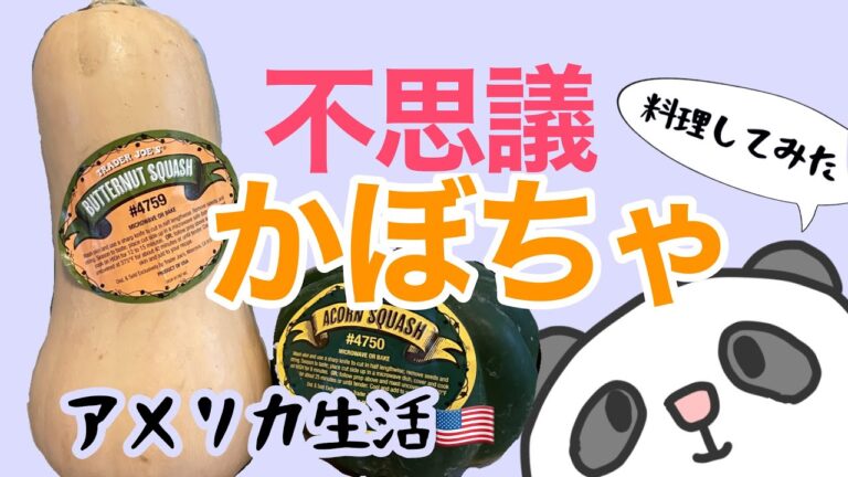 【アメリカ暮らし】どんぐりかぼちゃ、バターナッツかぼちゃを食す！Acorn Squash & Butternut Squash ！料理してみた！