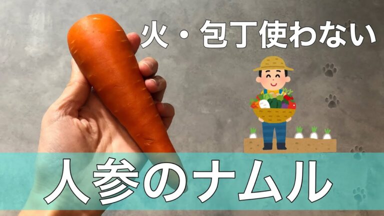 【火も包丁も使わない】人参ナムル