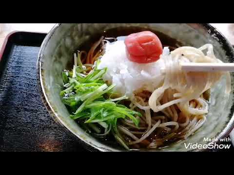 日光市『おかげ』の梅おろし蕎麦！さっぱりで美味しい！
