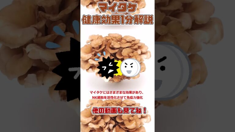 【ゆっくり解説】マイタケの栄養を1分で解説 #shorts