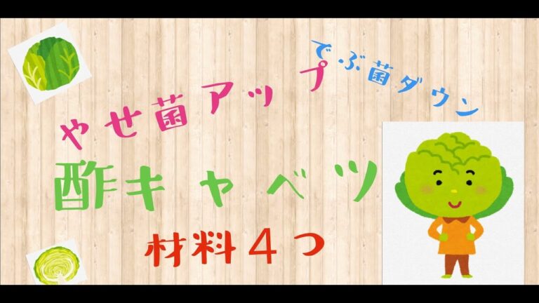 やせ菌アップ⤴　デブ菌ダウン⤵　簡単　手作り　☆酢キャベツ☆