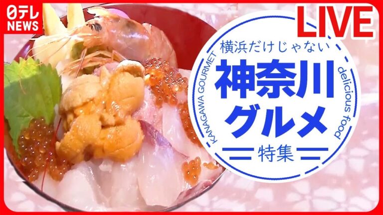 【ご当地ライブ】『神奈川グルメまとめ』横浜で人気の肉盛りスタミナカレー / 堪能！三崎マグロ3点盛り / 愛されて41年！日吉の洋食店　など（日テレNEWS LIVE）