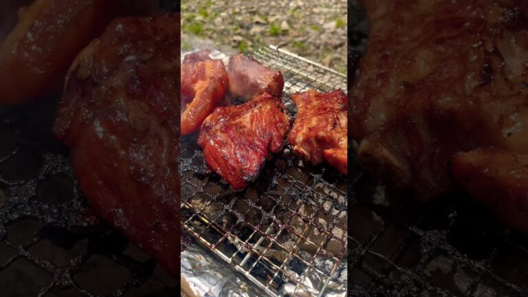 #shorts バーベキューといえばスペアリブ☆