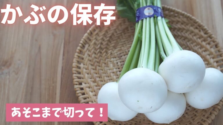【カブの保存】あそこを切ると長持ちします！（島本美由紀の保存から食品ロス削減）