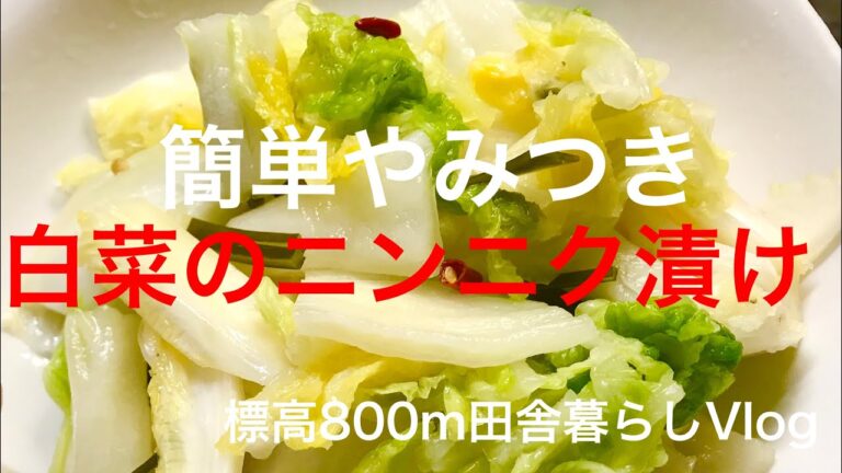 [漬物]簡単で本格的！白菜のニンニク漬け！　　標高800m田舎暮らしVlog