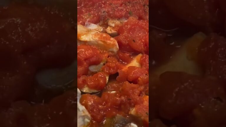 鶏胸肉とナスのトマト煮