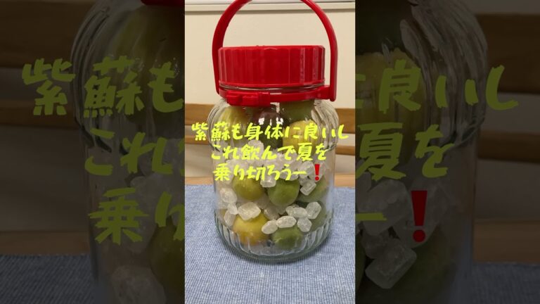 暑い季節はコレ‼️#紫蘇ジュース#梅ジュース #手作り #レシピ動画 #夏レシピ#子どもが喜ぶ
