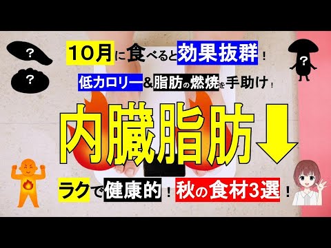 【秋食材3選】10月に食べると内臓脂肪がラクに減る！注意点とおすすめの組み合わせ！【管理栄養士が解説】