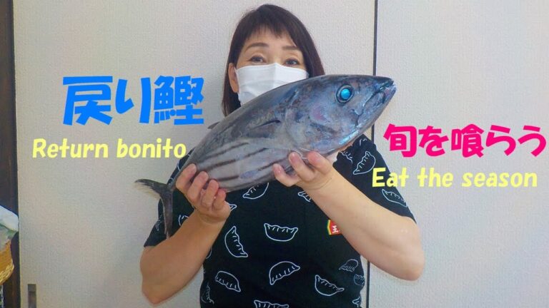 【戻り鰹　Return bonito.】旬を喰らう🐟　Eat the season.