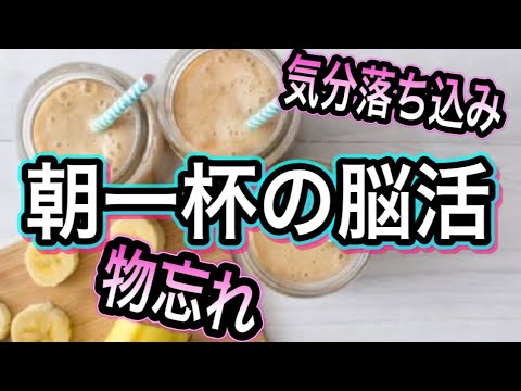 【脳の活性化に役立つ食品】朝1杯の脳を守るドリンクでうつや物忘れ予防！脳のエネルギーの効果的なとり方