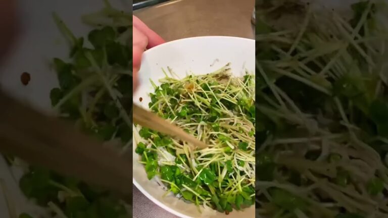 厚揚げの貝割れしらす#shorts