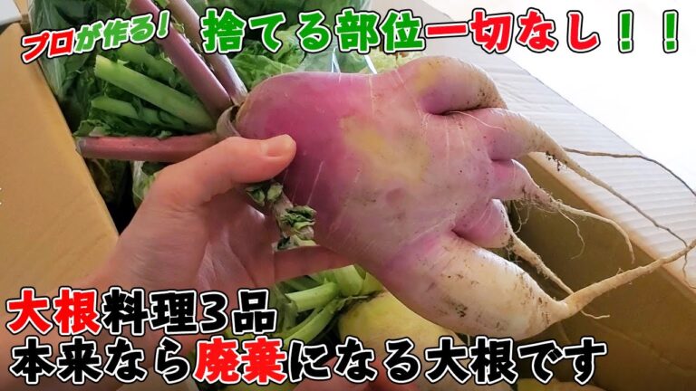 【食物繊維豊富】規格外の大根！簡単！葉の部分まで全て無駄なく使い3品調理【大根を使い切るレシピ】