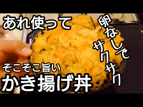 そこそこ旨いかき揚げ丼。卵なしでも、サクサク過ぎる。また、あれを使ってしまった。