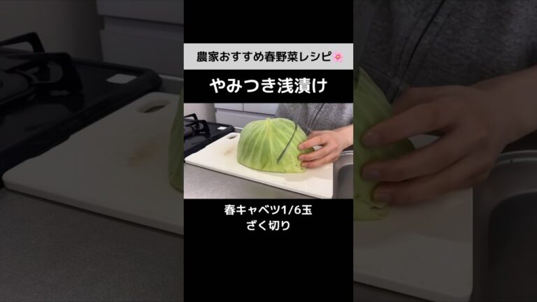 1度は作って欲しい！春キャベツと春カブ美味しい食べ方｜簡単すぎる浅漬け｜カンタン酢と白だし