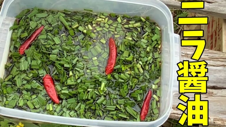 【ニラ醤油】自宅に自生するニラで「ニラの醤油漬け」を作る！！そして卵かけご飯で食べる！！