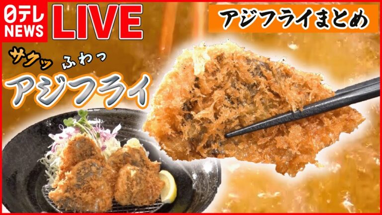 【アジフライまとめ】サクサクふっくら！限定20食のこだわりアジフライ定食/新食感！刺身みたいな半生アジフライ/産地直送！甘みとうま味が詰まった黄金アジフライ定食　など （日テレニュース LIVE）