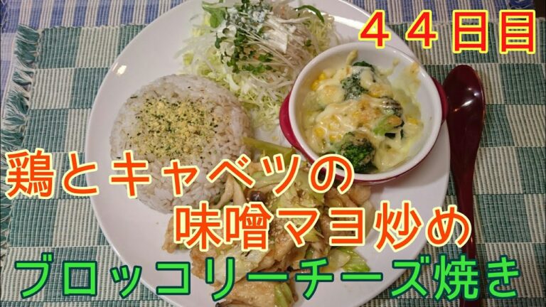 【４４日目】鶏とキャベツの味噌マヨ炒めのプレート飯【日本酒 七田】
