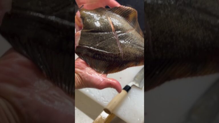 カレイの5枚おろし！煮付け用と捌いていく#shorts