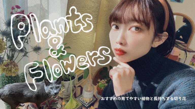 【 Plant Tour】おすすめの育てやすい植物と長持ちする切り花🪴💐|ガパオライス|モンステラ|サボテン|多肉植物|ドライフラワー|バジル