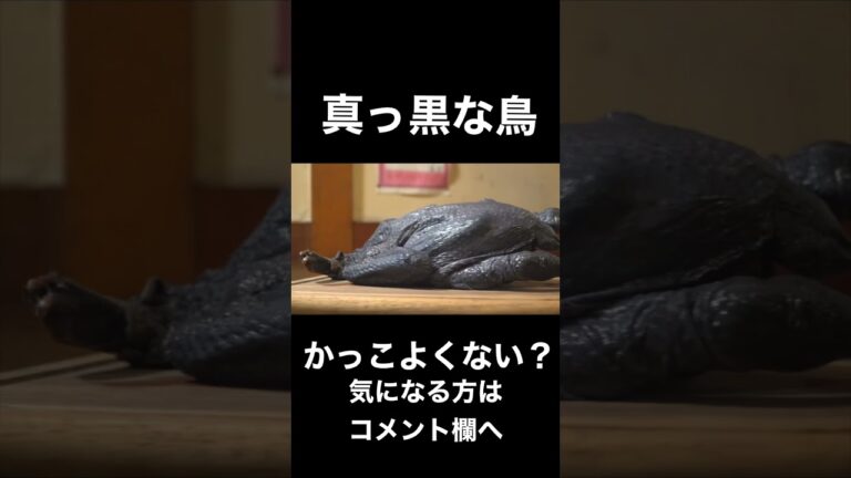 カッコ良すぎる鶏肉捌いてみた#shorts