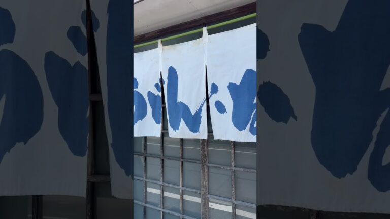 【うどん】一度食べたら癖になる中毒性のある冷やしたぬきうどん　#うどん #うどん好き #狭山市うどん#うどん旅