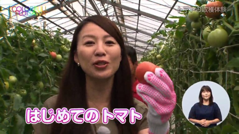 藤沢産新スイーツ「トマトの恋」