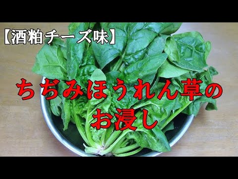 【酒粕チーズ味】ちぢみほうれん草のお浸し『お酒のおつまみに最適！』