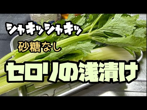 【砂糖なし】セロリの浅漬け2品　さっぱり味シャキシャキ食感　　#簡単常備菜   #セロリ   #漬け物    #浅漬け