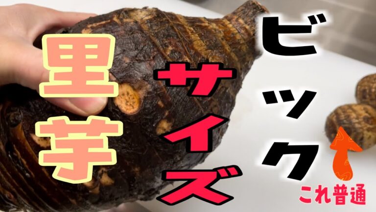 超巨大な里芋を料理してみた　今までに見た事のない大きさ！