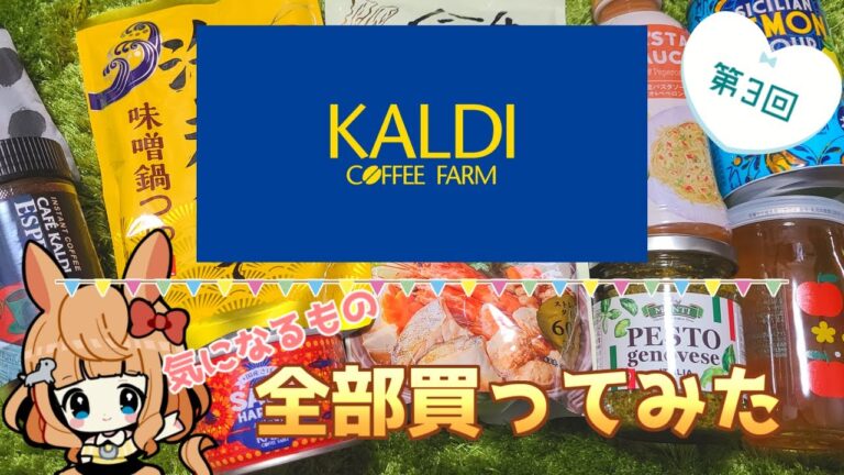 【 #KALDI 雑談】第3回 カルディで気になるもの全部買ってみた！【Vtuber／的射まくり】