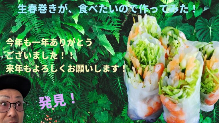 絶品の生春巻き作ってみた！今年も一年本当にありがとうございました。