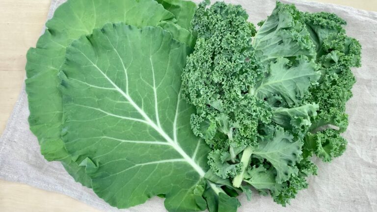 ケール〈野菜の食べ方＆調理方法〉by食育マルシェおうち便