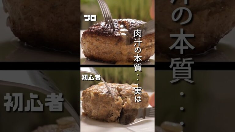 肉汁ハンバーグ、プロと素人は何が違うか比較してみた!!