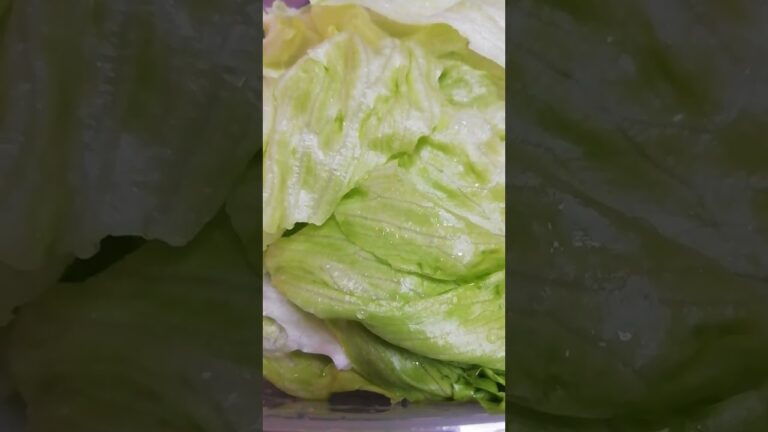 こんな時もある　新鮮なレタスだけサラダに　おかわり自由　次の日にカバー