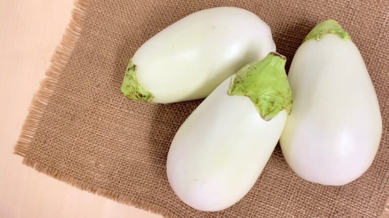 白ナス〈野菜の食べ方＆調理方法〉by食育マルシェおうち便