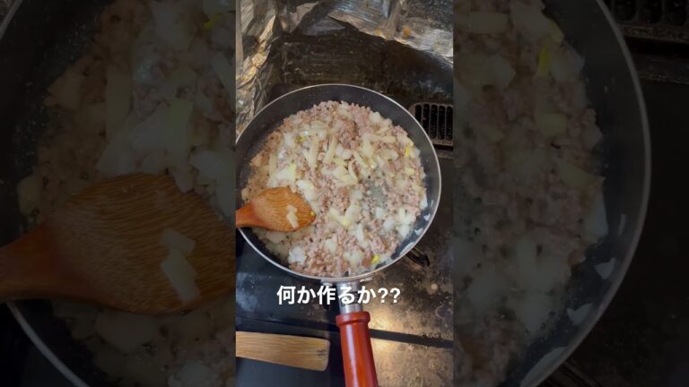 玉ねぎとひき肉を作る料理は何か作るかな⁇