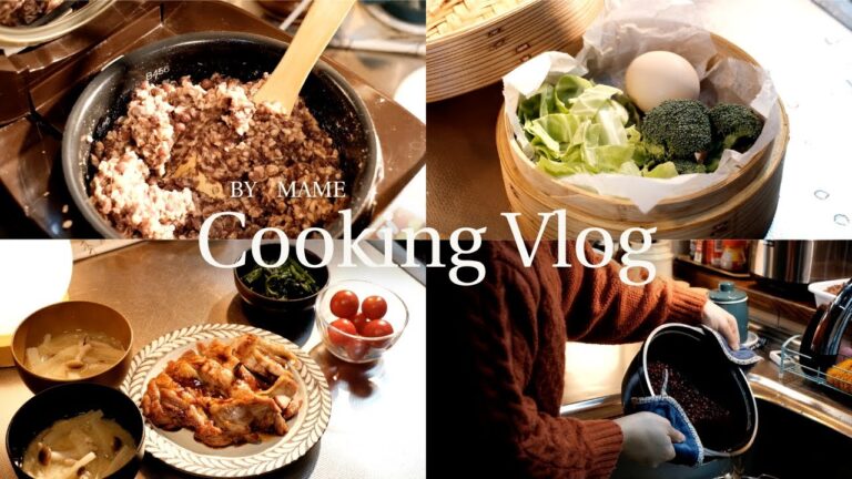 《vlog》のんびり発酵あんこのお世話をしながら、朝昼夕ごはんをつくる 🫘【管理栄養士ごはん】