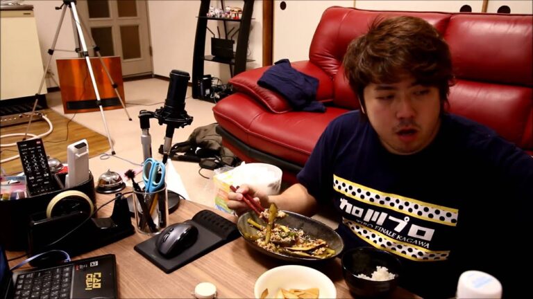 家飯　麻婆茄子と豆苗メンマ