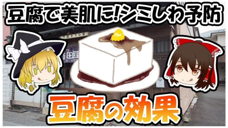 豆腐は木綿と絹で違う栄養価！？アミノ酸スコアでシミ・しわ予防も！？【ゆっくり解説】