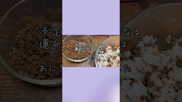 簡単で美味しい／そぼろのおにぎり／おにぎらずより簡単レシピ