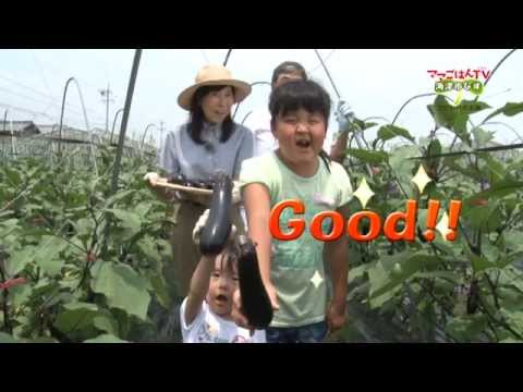 ママごはんTV　第１７回「なすのワンタン＆みそ炒め」〈海津市〉