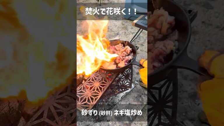 焚火の火力で！花咲く砂ずり（砂肝）のネギ塩炒め #Shorts #キャンプ飯 #こっこー #野営同好会