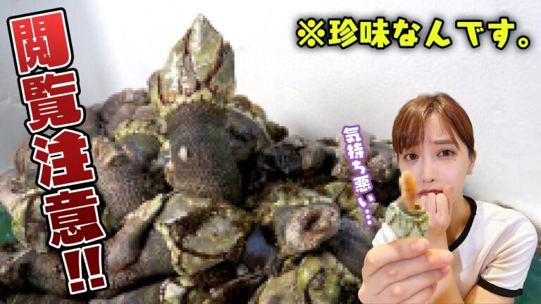 【閲覧注意】チャンネル史上NO1のグロテスク食材に魚屋一家騒動が起きました😫💦