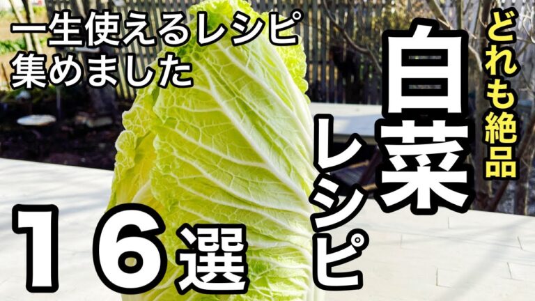 【白菜レシピ１６品】超保存版！白菜大量消費レシピ｜無限白菜｜時短・簡単
